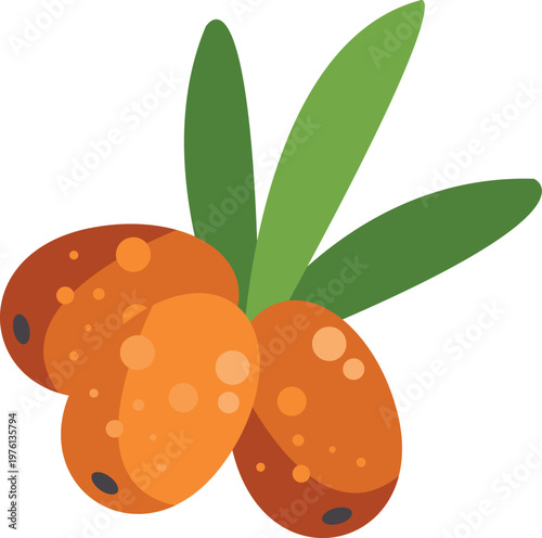 Sea buckthorn berries bringing healthy nutrition and natural superfood concepts