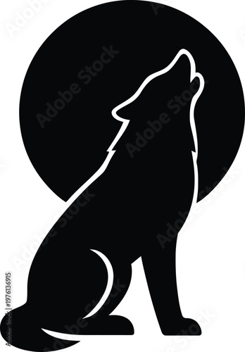 black and white cat