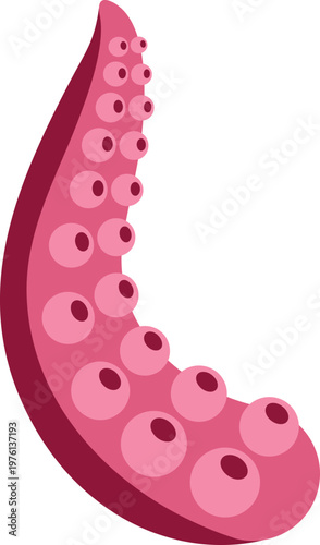Octopus tentacle with suctions cups in vector art illustration