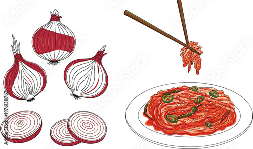 Red onion illustration and kimchi dish concept featuring sliced layers, rings, and Korean food presentation in detailed vector style