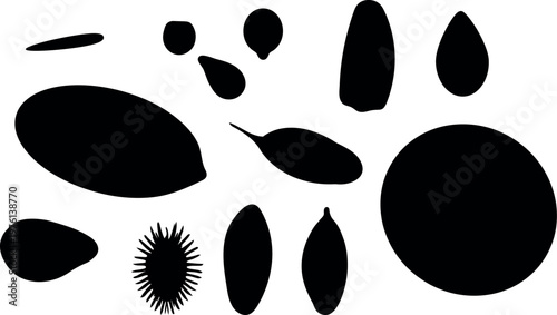 Silhouettes of seeds, fruits and agricultural crops isolated