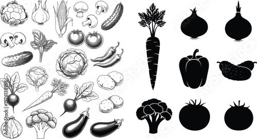 Vegetable illustration and silhouette set featuring cabbage, carrot, tomato, eggplant, broccoli, pepper, and fresh farm produce in vector style