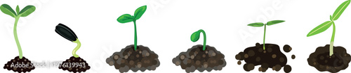 Seedlings growing from soil set: young sprouts of sunflower, soybean and vegetables with green leaves