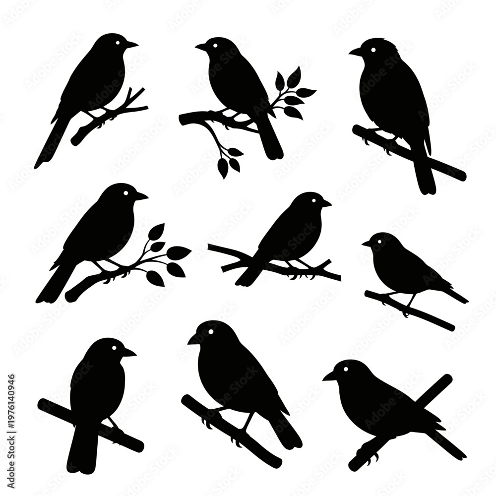Fototapeta premium Collection of Bird Silhouettes on Branches