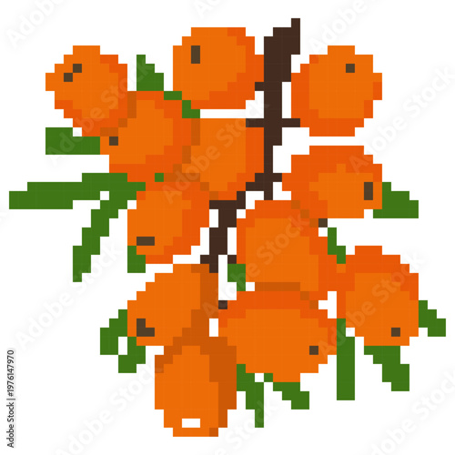 Pixel Art Sea Buckthorn - Pixel Boyama Art Sample