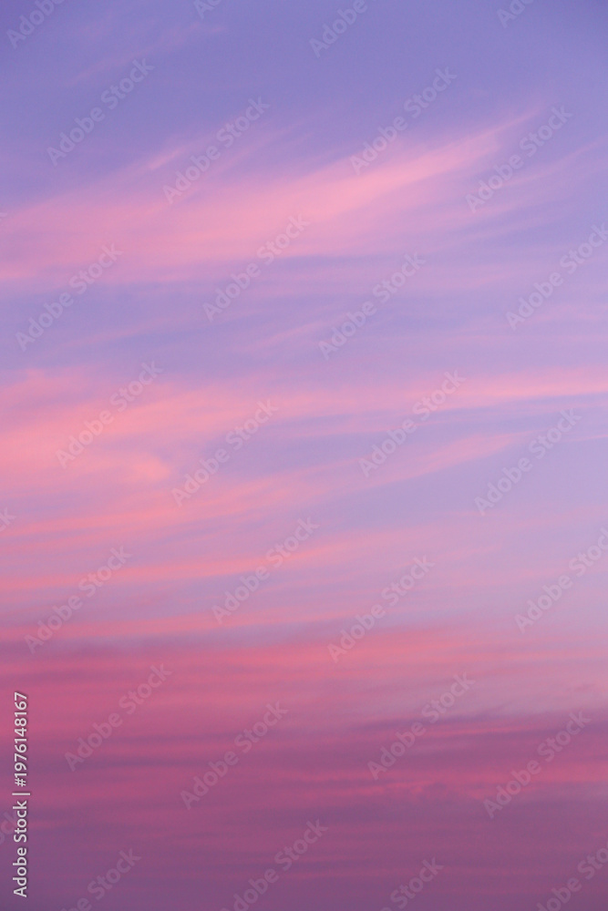 Obraz premium Beautiful soft gentle sunrise, sunset pink violet blue sky with clouds abstract background texture