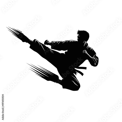 Karate silhouette, dynamic martial arts fighter performing a high kick in action, isolated on white.