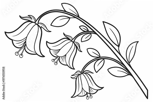 coloring page line art the sweet pea flower black vector
