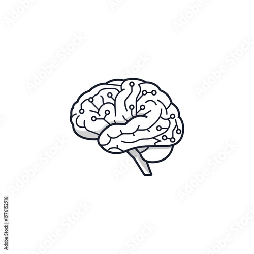 Detailed illustration of a human brain.