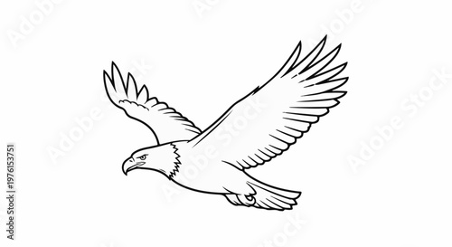A detailed black and white outline drawing of a bird of prey in flight