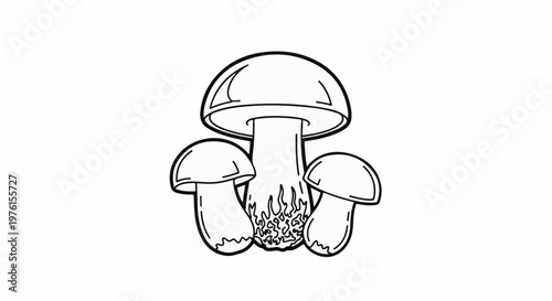 Three outlined mushrooms with detailed stems, isolated on white