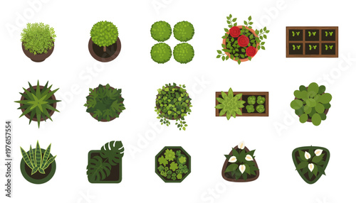 A variety of lush green plants and foliage are neatly arranged on display.