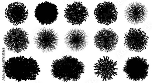 A collection of various black floral patterns arranged on a white background