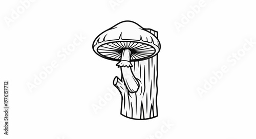 Simple line art of a mushroom growing on a tree trunk