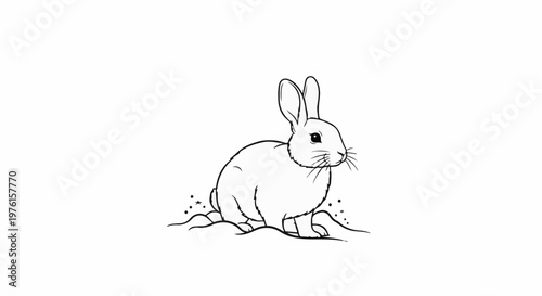 A whimsical line drawing of a fluffy rabbit sitting in a grassy field