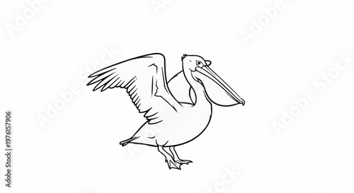 Outline of a pelican with wings spread, beak open
