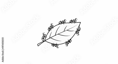 Many ants crawling all around a single leaf