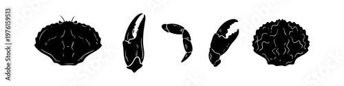 Set of black crab silhouettes including shells and claws, isolated on white. Hand-drawn sea life elements perfect for seafood menus, nautical designs, or beach-themed graphic art projects.