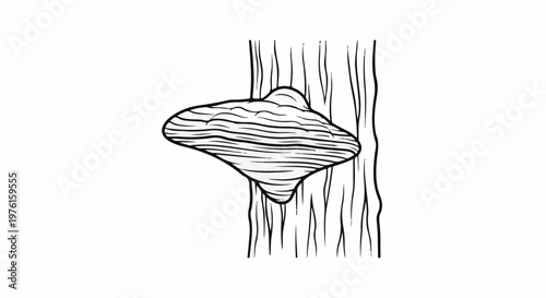 Line art illustration of a large shelf fungus attached to a tree trunk