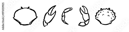 Hand-drawn sketches of crab parts including shells, claws, and legs. Minimalist black line art doodles of seafood elements isolated on a white background, perfect for nautical and menu designs.
