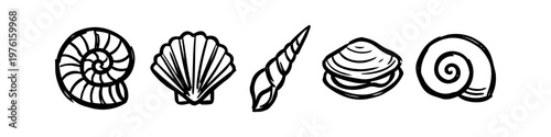 Hand-drawn sea shell collection in a minimalist black line art style. Set of five different seashell doodles including scallop, nautilus, and conch icons for summer beach designs.