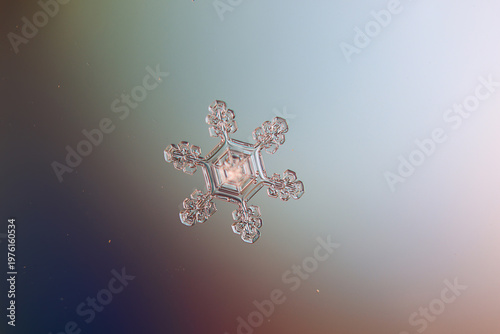 Obraz na płótnie Snowflake macro natural crystal close-up, real photo