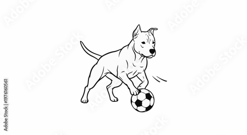 Line drawing of a muscular dog playing with a soccer ball