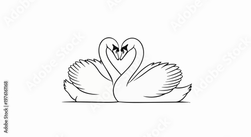 Two swans forming a heart shape with their necks on a white background