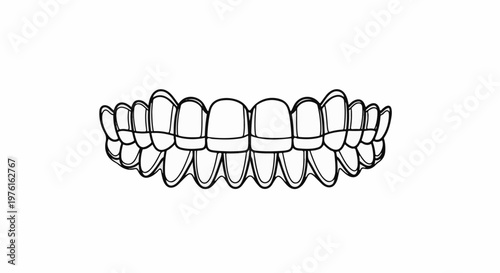 Stylized line art depicts a full set of upper and lower teeth with subtle shading