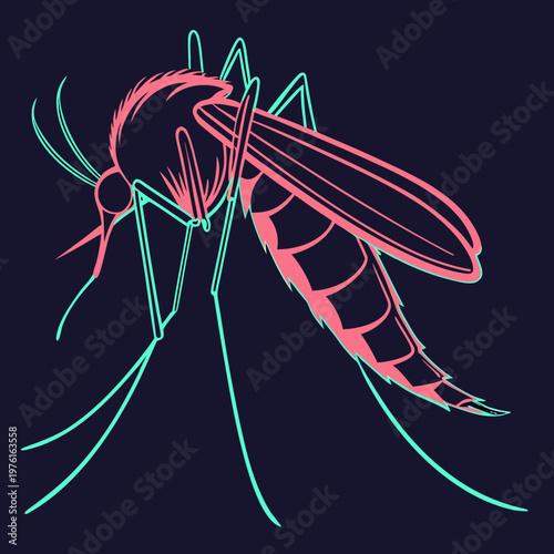Detailed mosquito vector art with dual tone pink and teal outlines showing anatomical features of flying insect for medical and scientific research.