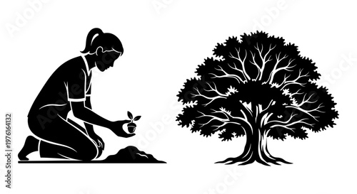 A person planting a sapling next to a fully grown tree illustration Vector, illustration