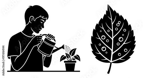A child carefully waters a small potted plant while a leaf with circular spots is shown nearby Vector, illustration