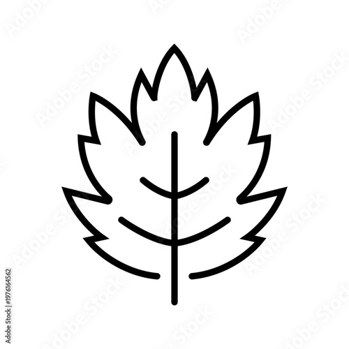 Grape leaf icon. Nature and viticulture line symbol. Black and white.