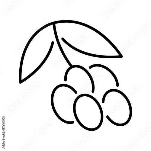 Sea buckthorn icon. Food and berry line symbol. Black and white.
