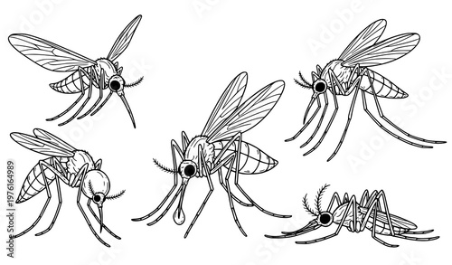 A black and white vector illustration of multiple mosquito silhouettes in different poses