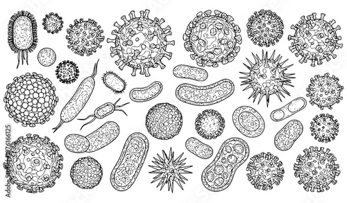 A detailed vector illustration of various microscopic bacteria and viruses