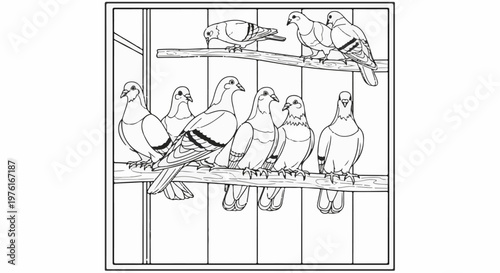 A group of pigeons perched on wooden branches within a cage