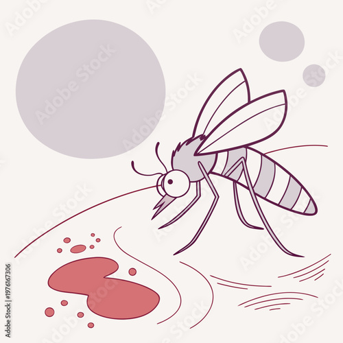 A mosquito biting human skin, sucking blood, illustration of mosquito and skin, isolated on white background, insect mosquito bug.