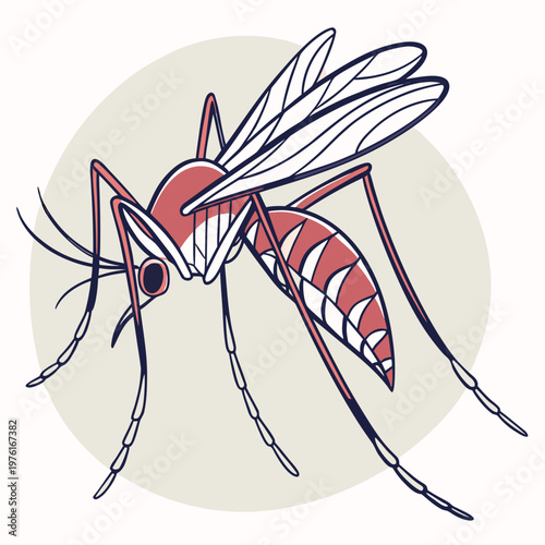 Single mosquito illustration in close up, detailed body segments, elegant wings, and prominent legs, drawn in a clean graphic style.