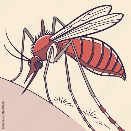 Mosquito biting human skin, detailed vector illustration showing proboscis penetrating skin surface, conveying annoyance and irritation.