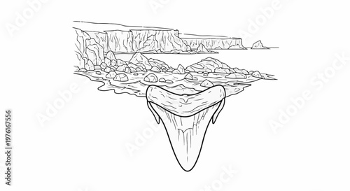 A detailed line drawing of a prehistoric shark tooth emerging from a rocky shoreline