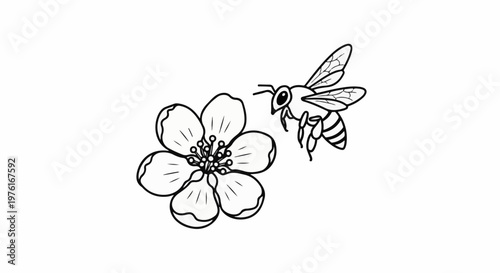 A black and white illustration of a bee flying towards a flower