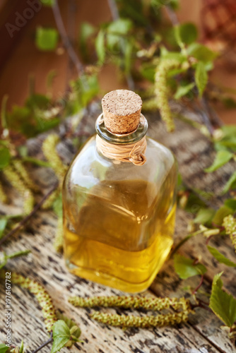 A bottle of herbal tincture with birch branches with young leaves and catkins collected in spring