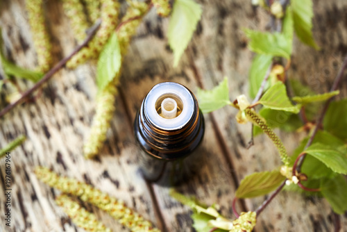 A bottle of herbal tincture with birch branches with young leaves and catkins collected in spring