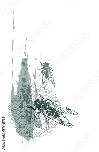 cicada insect abstract brush japanese chinese vector ink traditional asian design isolated