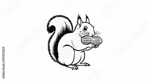 A black and white illustration of a squirrel holding a peanut in its paws