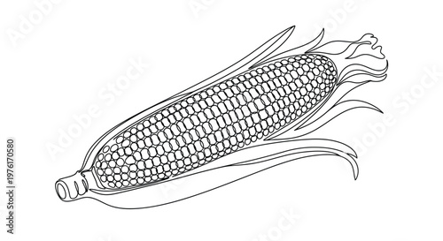 Outline of a corn cob with husk line art single line white background vegetable illustration