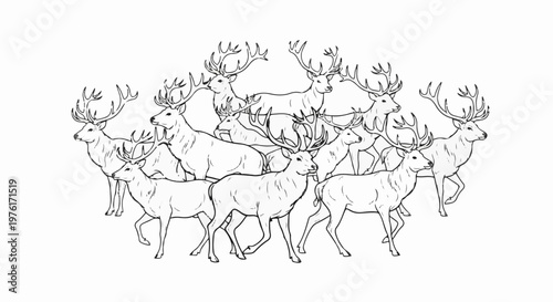 A herd of deer with large antlers gathered together