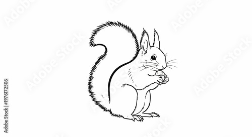 A black and white sketch of a squirrel holding a nut in its paws