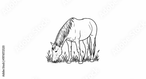 A black and white line drawing of a horse grazing in a grassy field
